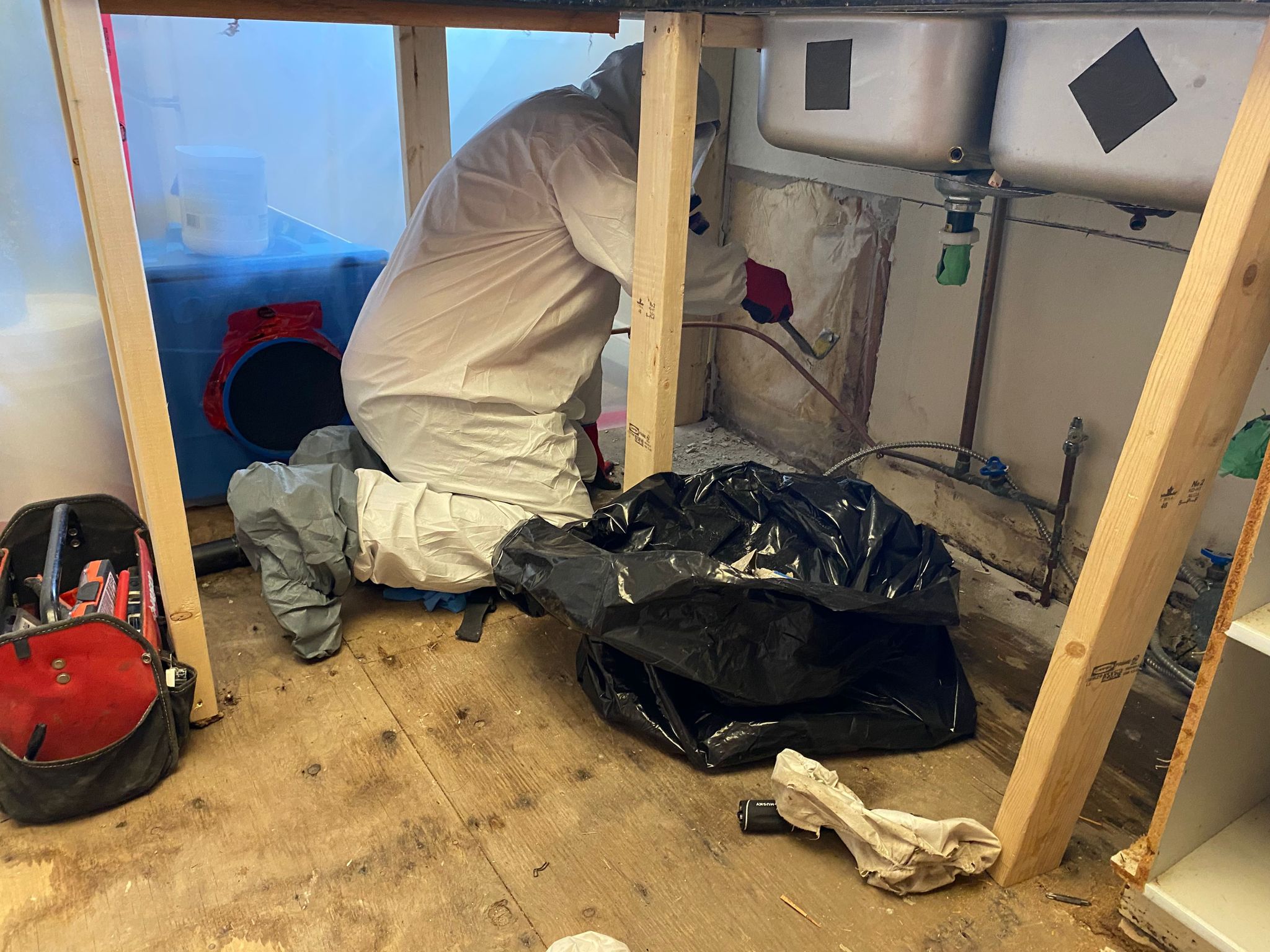 Mold Remediation